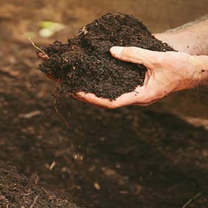 Soil & Crop Care