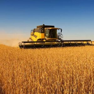 Stockfeed For Sale or Wanted