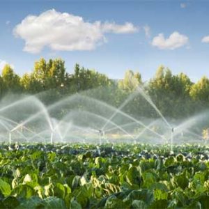 Irrigation